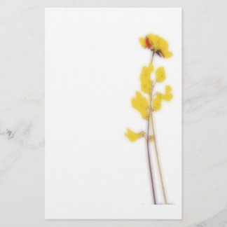 Papelería Stationery with yellow flowers