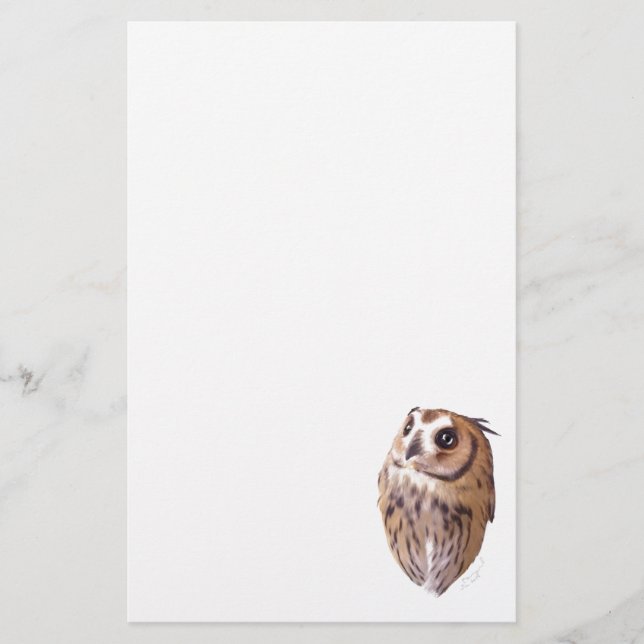 Papelería Striped owl (Anverso)