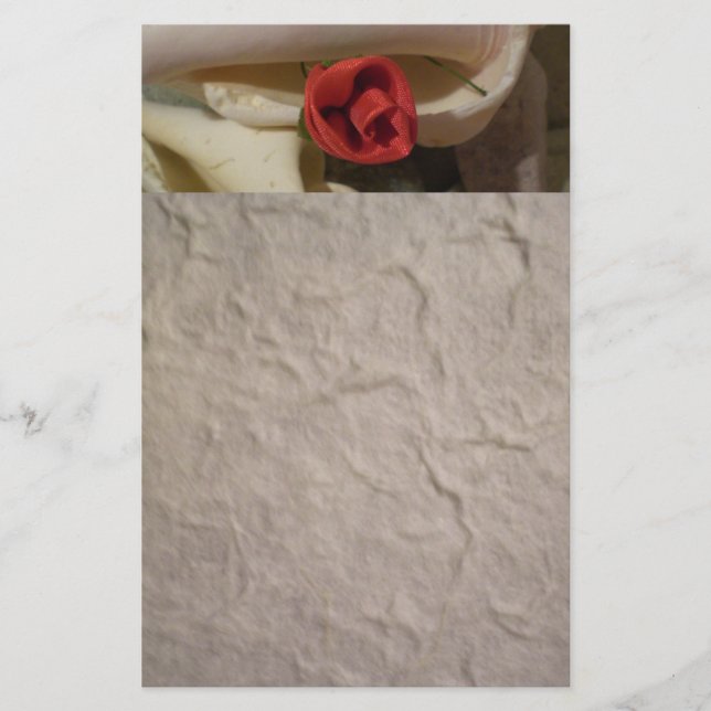 Papelería Subió en el mar Shell (Anverso)