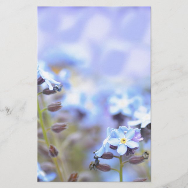 Papelería Sueño en azul (Anverso)
