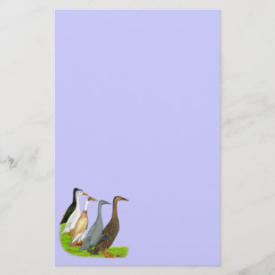 Papelería Surtido de pato