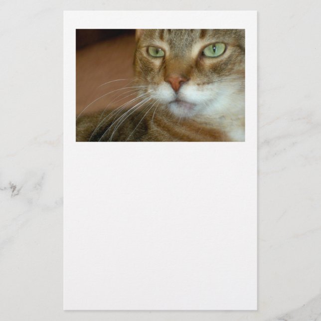 Papelería Tabby Cat Love (Anverso)