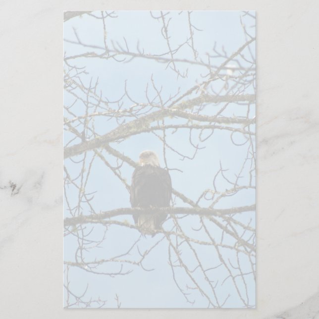 Papelería Te estoy vigilando (Anverso)