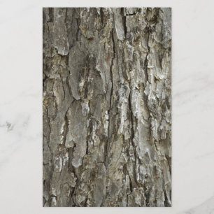 Papelería Textura de la corteza de árbol
