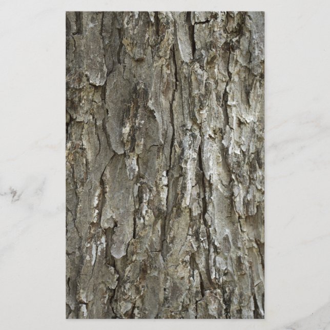 Papelería Textura de la corteza de árbol (Anverso)