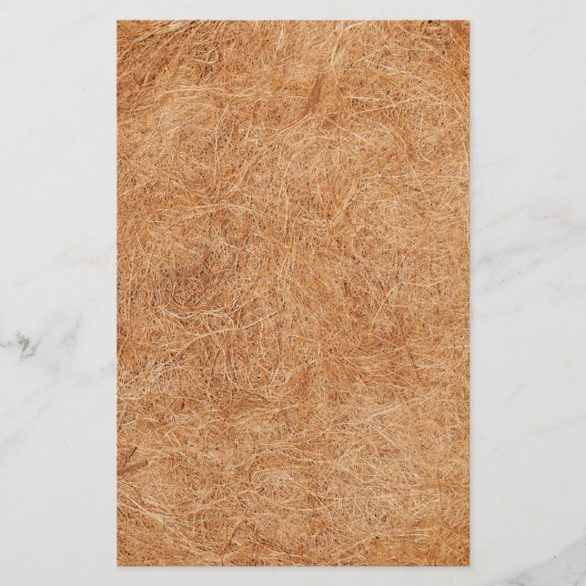 Papelería Textura del coco (Anverso)
