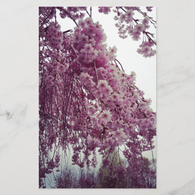 Papelería Tiempo de primavera (Anverso)