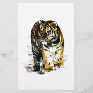 Papelería Tigre