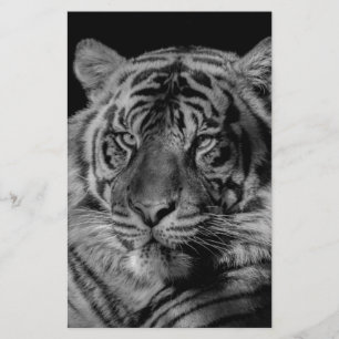 Papelería Tigre blanco y negro