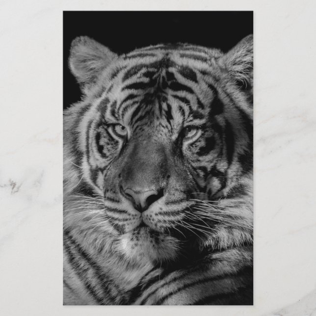 Papelería Tigre Blanco y Negro (Anverso)