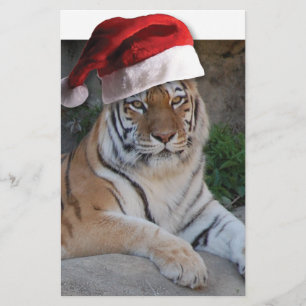 Papelería Tigre de Santa Hat Bengal