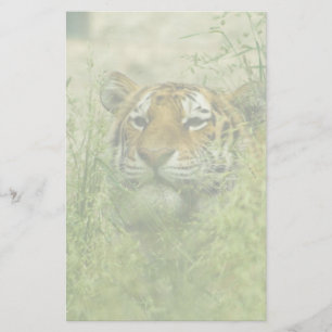 Papelería tigre inmóvil