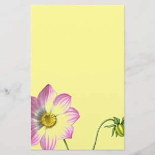 Papelería Tolerancia