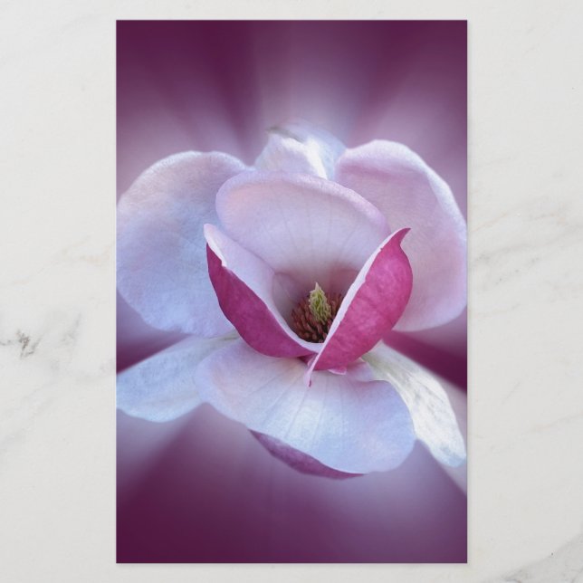 Papelería tonos de magnolia rosa (Anverso)