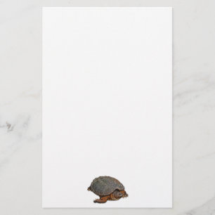 Papelería Tortuga encantadora de Terrapin