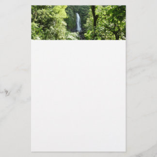 Papelería Trafalgar cae fotografía tropical de selva tropica