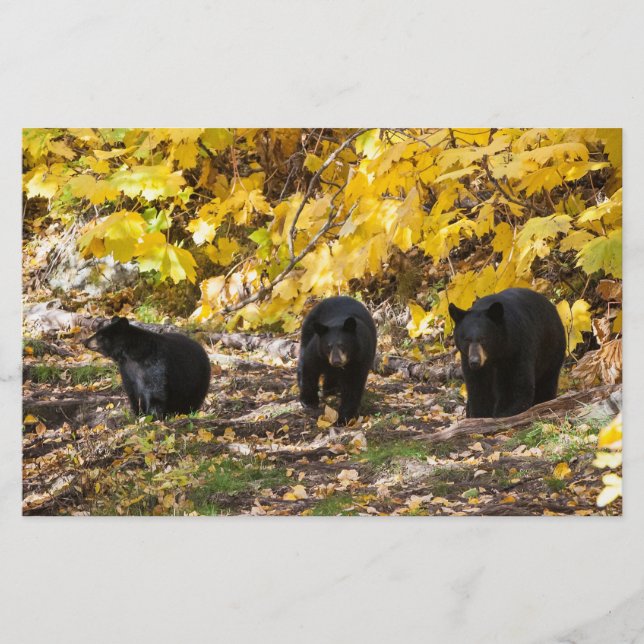 Papelería Tres Baños (Anverso)