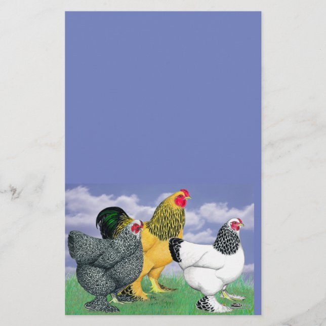 Papelería Tres Brahmas (Anverso)