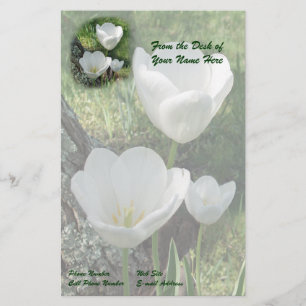 Papelería Trío de flor de tulipanos blancos