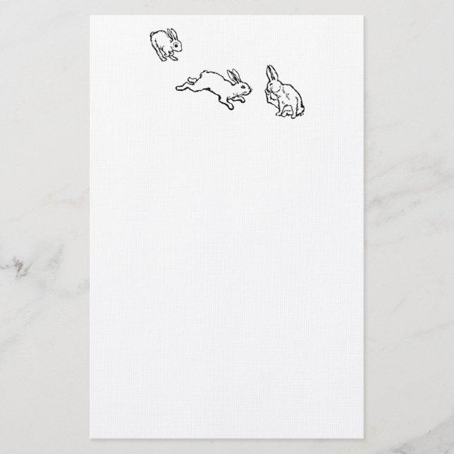 PAPELERÍA TROIS LAPINS (Anverso)