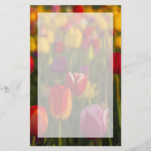 Papelería Tulipanes, Festival de Tulipanes, Woodburn, Oregon