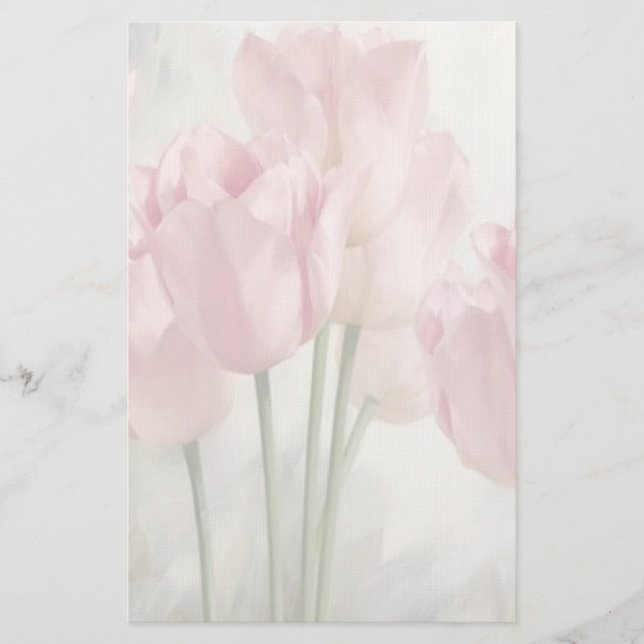 Papelería Tulipanos (Anverso)