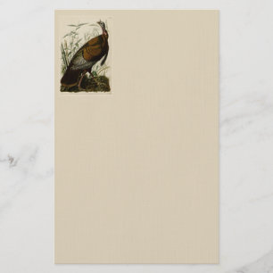 Papelería Turquía salvaje de Juan Audubon