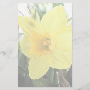 Papelería Un narciso amarillo alegre