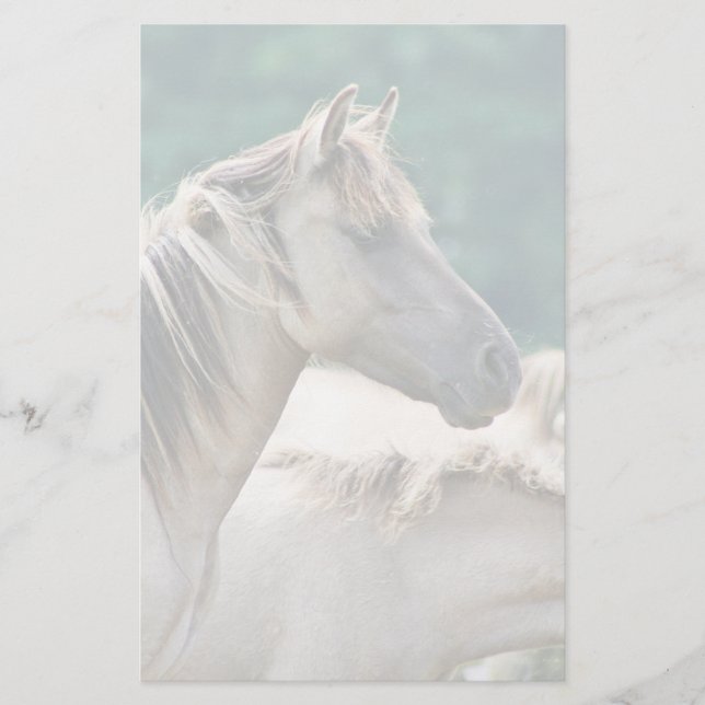 Papelería Un rebaño de caballos de Brumby de Australia (Anverso)