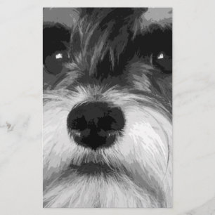 Papelería Un Schnauzer miniatura blanco y negro