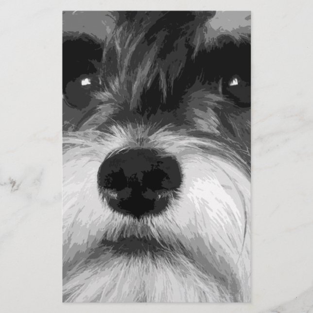 Papelería Un Schnauzer miniatura blanco y negro (Anverso)