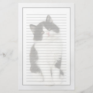 Papelería Una mirada que se sienta del gatito joven en la