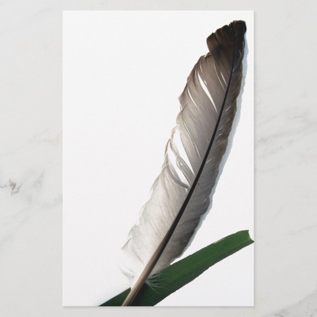 Papelería Una pluma (Anverso)