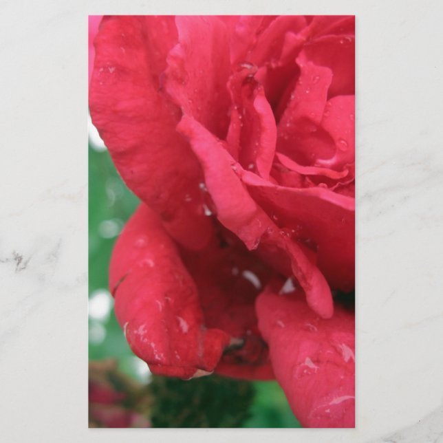 Papelería Una rosa roja (Anverso)