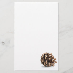 Papelería Una sola pinecona