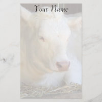 Vaca blanca