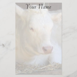 Papelería Vaca blanca