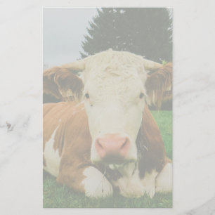 Papelería Vacas