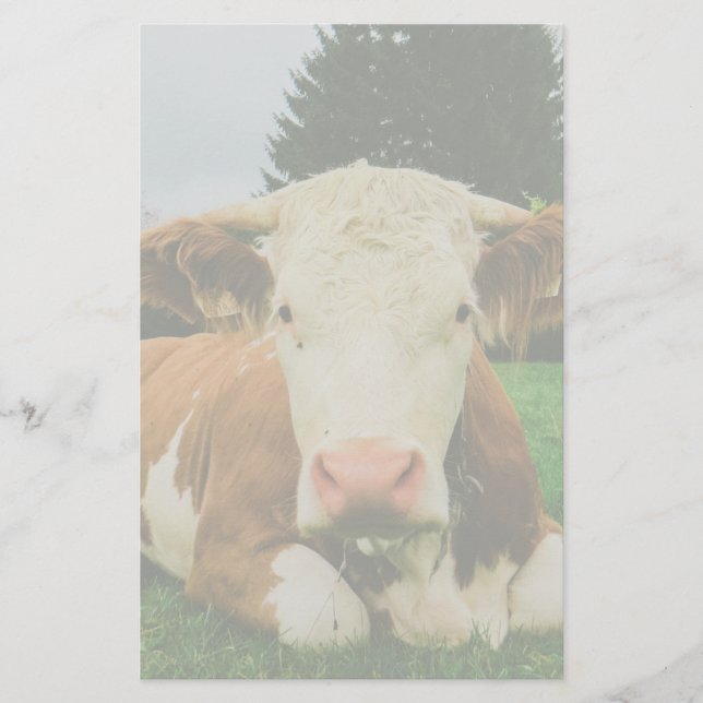Papelería Vacas (Anverso)