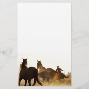 Papelería vaquero roping inmóvil