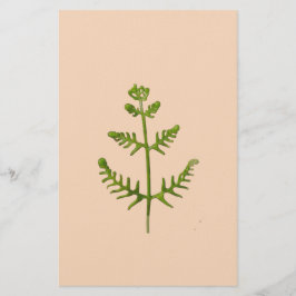 Papelería verde primavera
