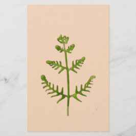 Papelería verde primavera