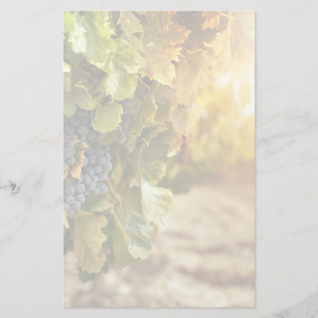 Papelería Viñedos al atardecer (Anverso)