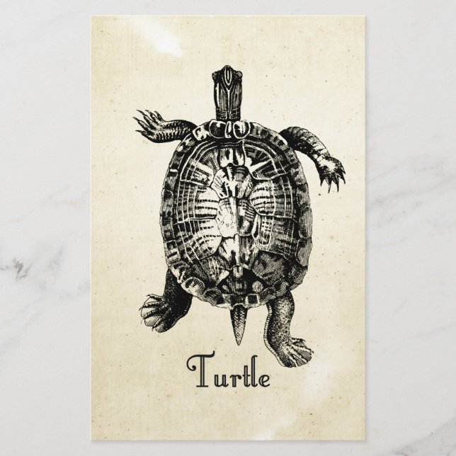 PAPELERÍA VINTAGE TURTLE (Anverso)