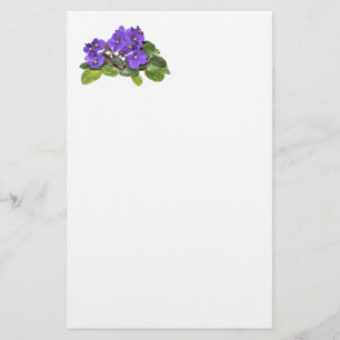 Papelería Violeta africana