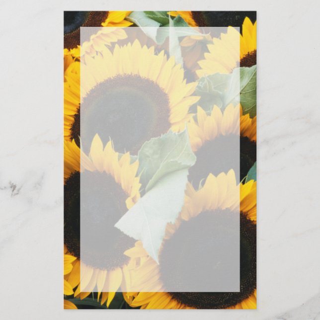Papelería Washington, Seattle, Girasol a la venta pike (Anverso)