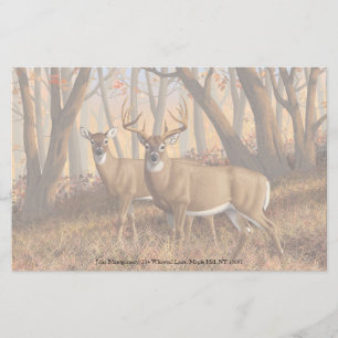 Papelería Whitetail Deer Buck & Doe Otumn Maple Woods