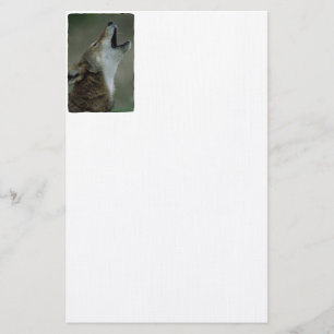 Papelería Wild Timber Wolf Howling