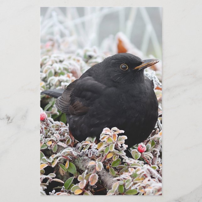 Papelería Winter Blackbird (Anverso)