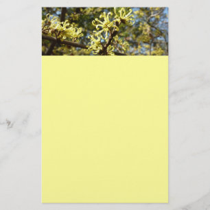 Papelería Witch Hazel Flowers